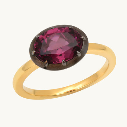 ANIS Gomita Frambuesa Ring in 18K yellow gold — Colette Jewelry