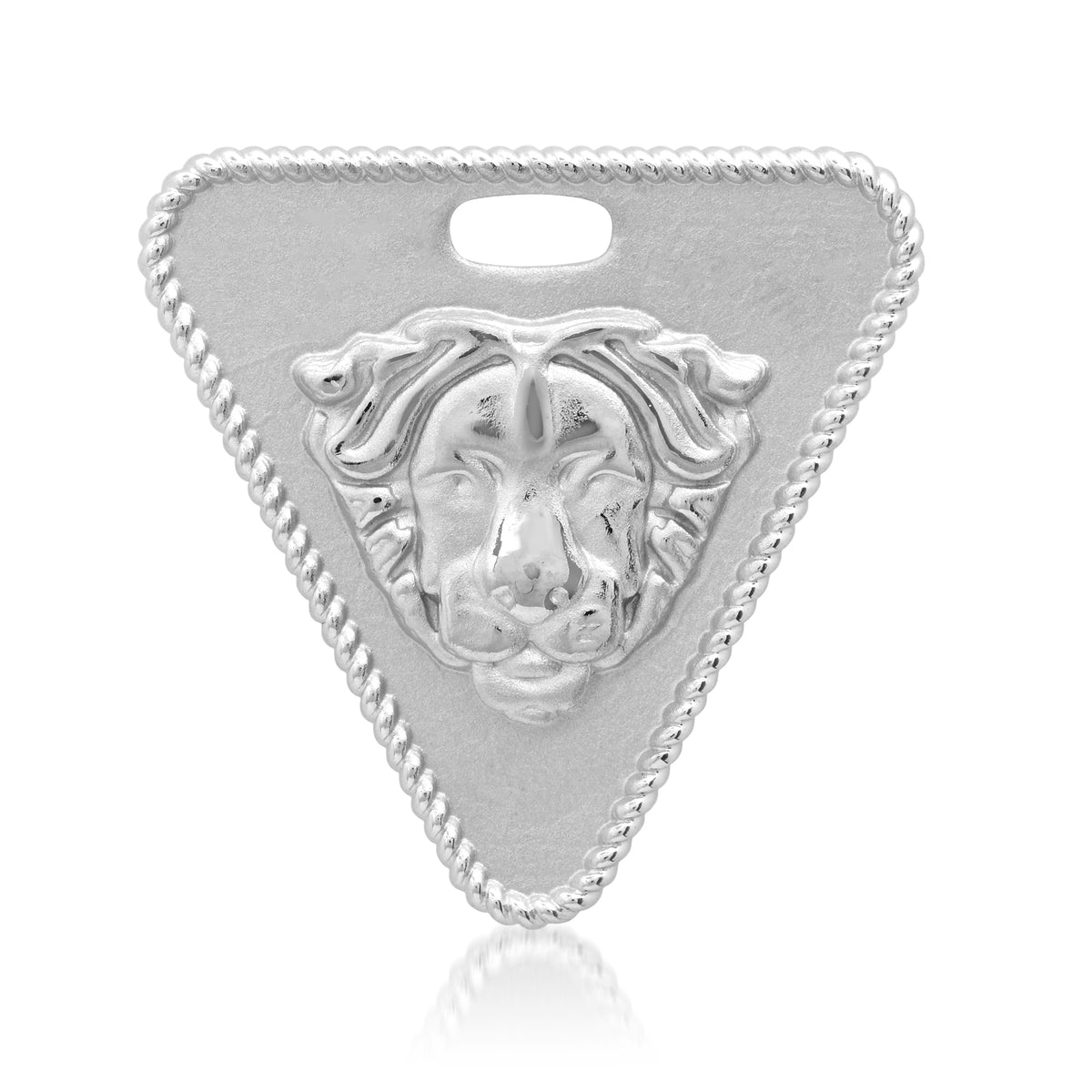 ASTROCOSMICA Sign Leo Pendant | Colette Jewelry